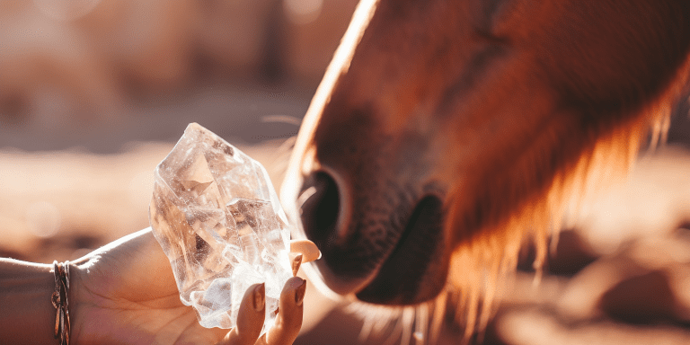 A clear quartz crystal being sniffed by a brown horse nose