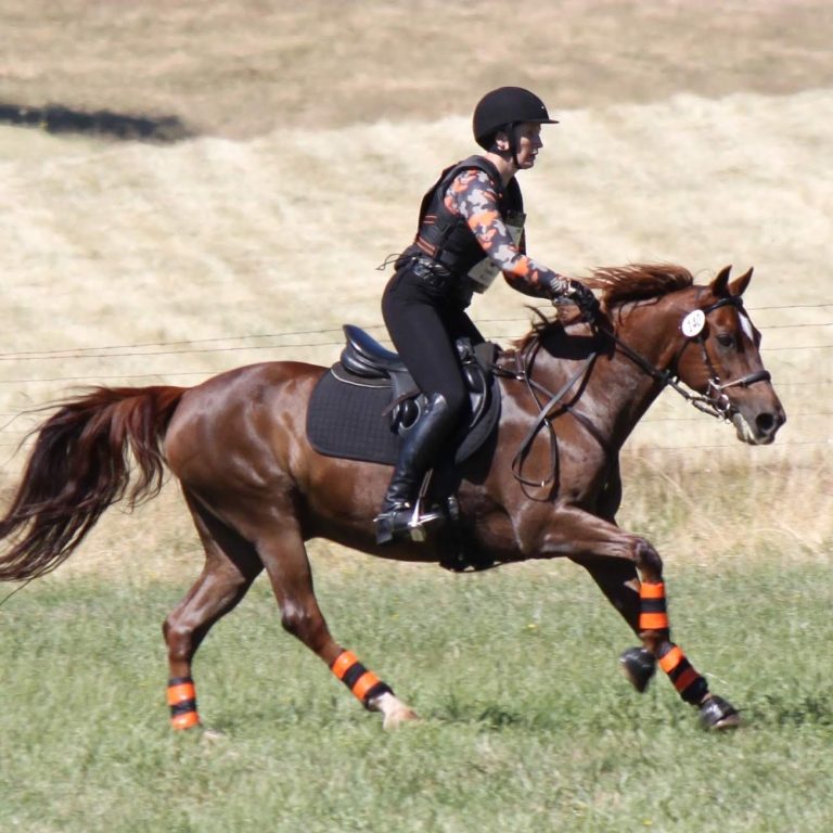 The author, now a proponent for Trauma-Informed Horsemanship, rides their chestnut Morgan gelding across a cross country field, dressed in orange and grey cross country gear.