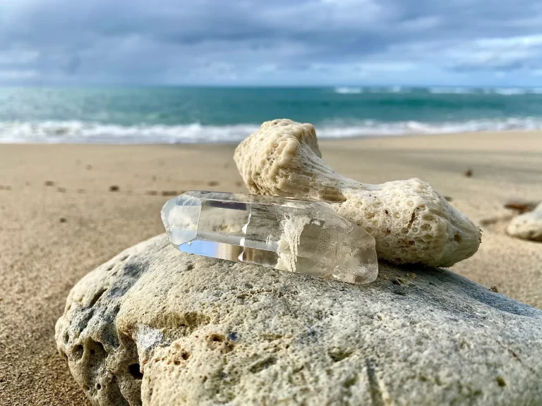 Clear quartz, coral and shells on a beach, natural tools for animal energy healing.